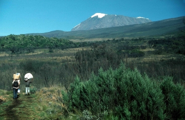 Der Marangu Trail, auch Coca Cola Route genannt, auf den Kilimanjaro